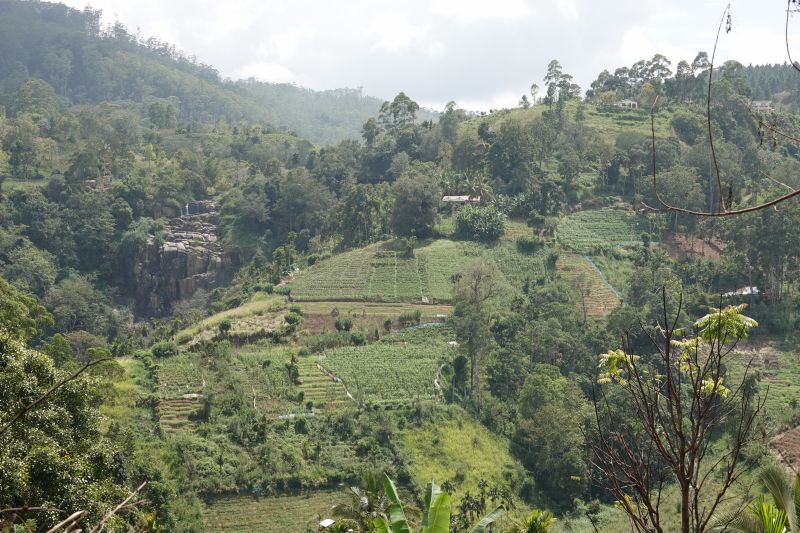 Viewing photos→2019→2019-02-05→111