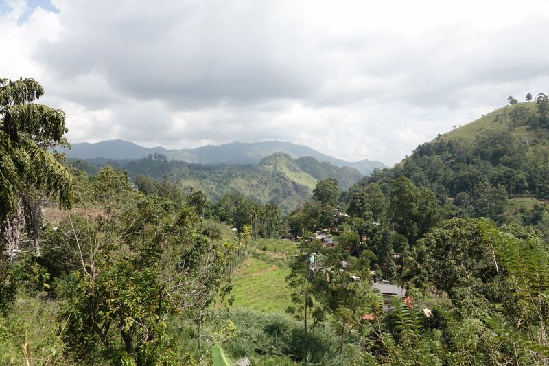 Viewing photos→2019→2019-02-05→112