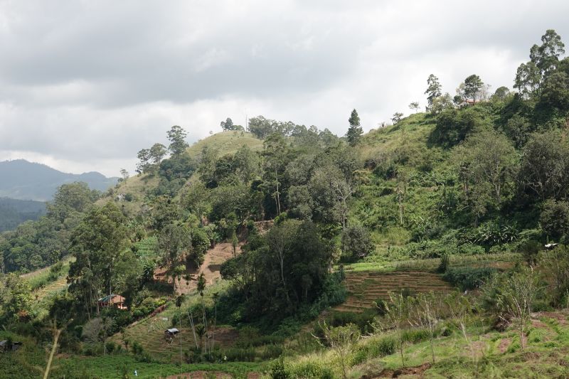 Viewing photos→2019→2019-02-05→114