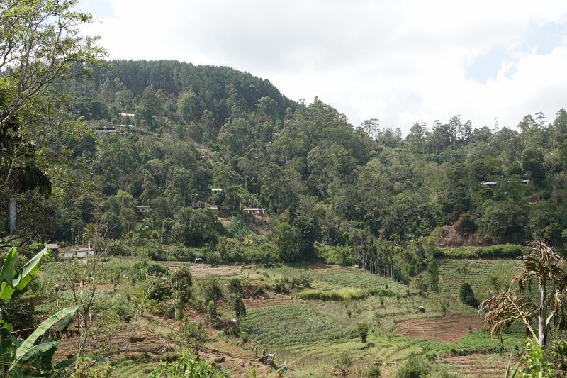 Viewing photos→2019→2019-02-05→115