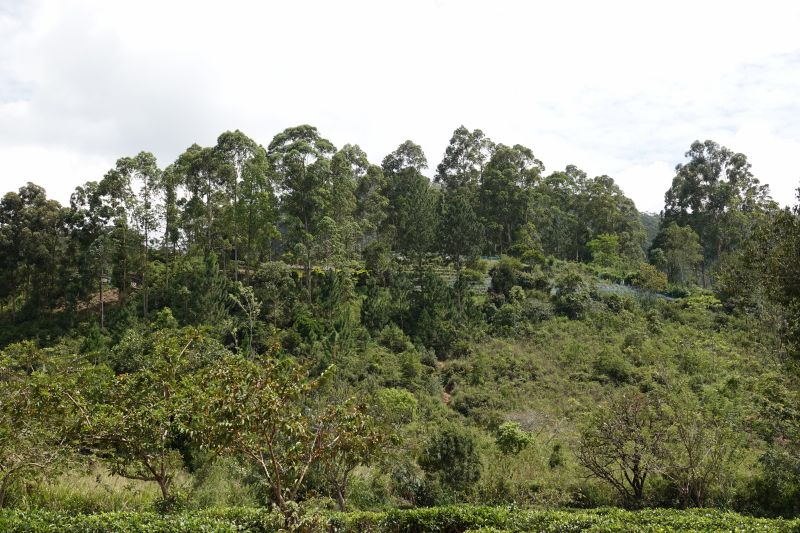 Viewing photos→2019→2019-02-05→123