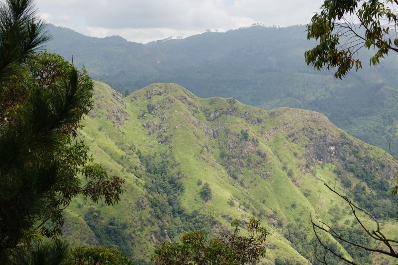 Viewing photos→2019→2019-02-05→125