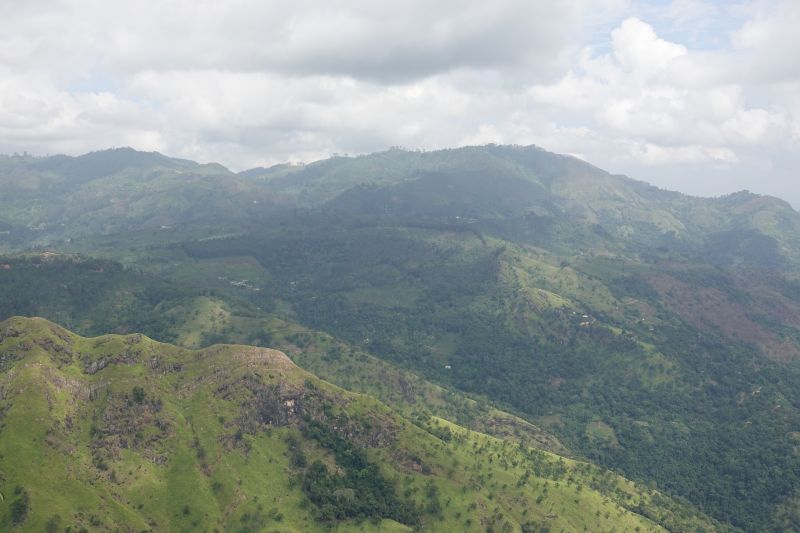 Viewing photos→2019→2019-02-05→133