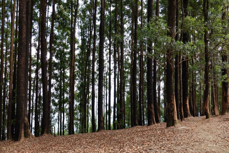 Viewing photos→2019→2019-02-05→135