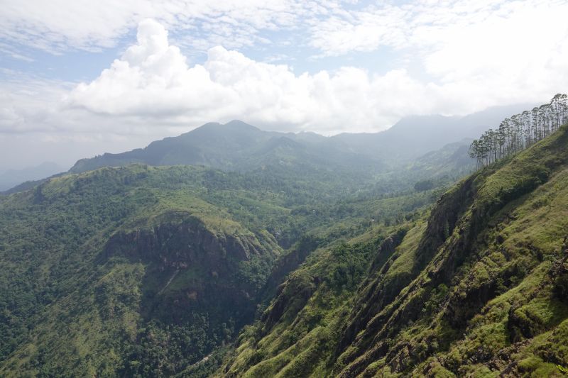 Viewing photos→2019→2019-02-05→137