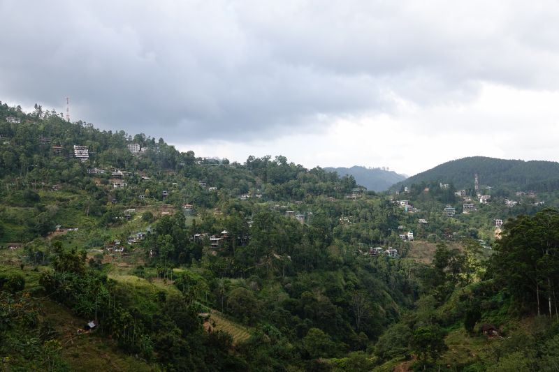 Viewing photos→2019→2019-02-05→140