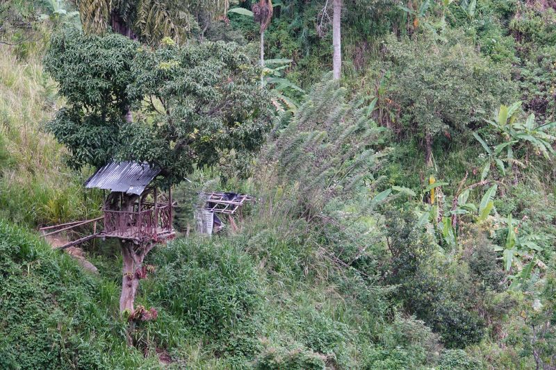 Viewing photos→2019→2019-02-05→142