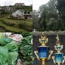 2019-02-08 - 2019-02-09<br/>
<b>Nuwara Eliya (නුවර එළිය), Sri Lanka</b>
