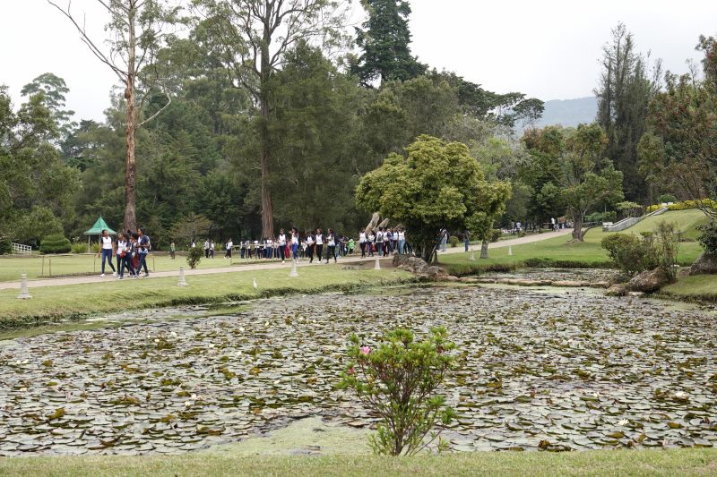 Viewing photos→2019→2019-02-08→03