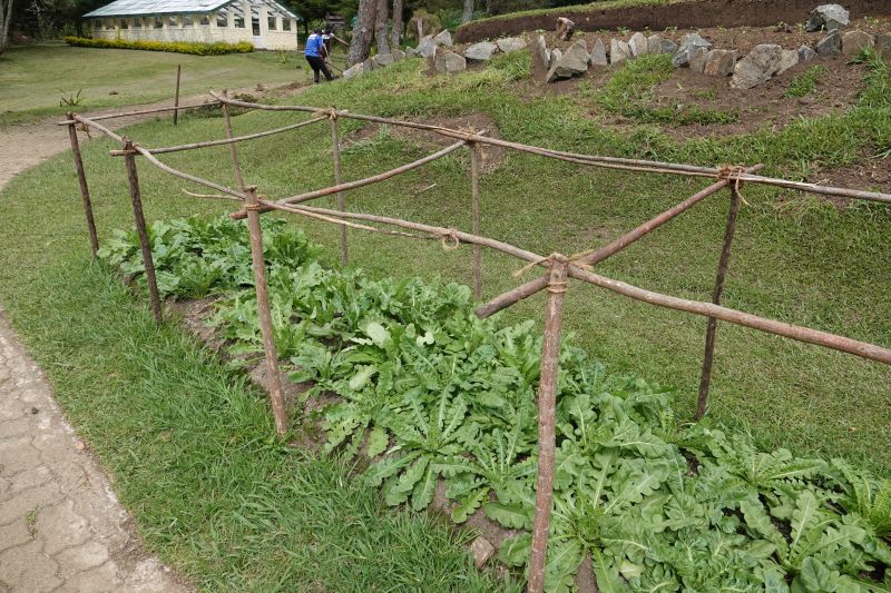 Viewing photos→2019→2019-02-08→05