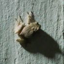 18.jpeg - 2019:02:08 15:00:56