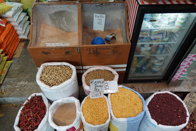 Viewing photos→2019→2019-02-08→23