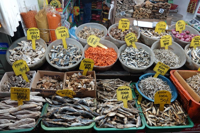 Viewing photos→2019→2019-02-08→29