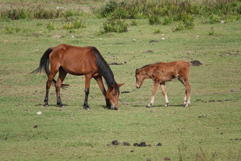 Viewing photos→2019→2019-02-08→35