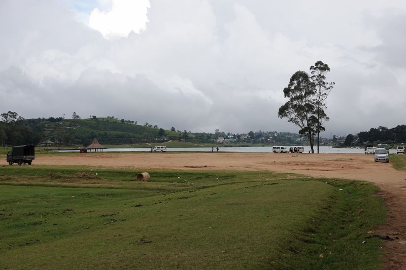 Viewing photos→2019→2019-02-08→45