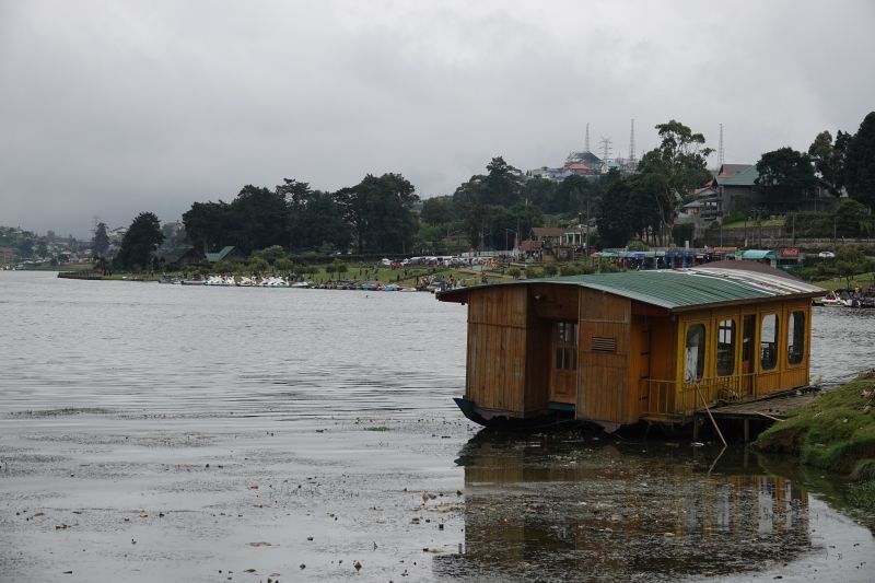 Viewing photos→2019→2019-02-08→48