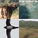 2019-02-09<br/>
<b>Horton Plains National Park (හෝර්ටන් තැන්න ජාතික වනෝද්‍යානය), Sri Lanka</b>
