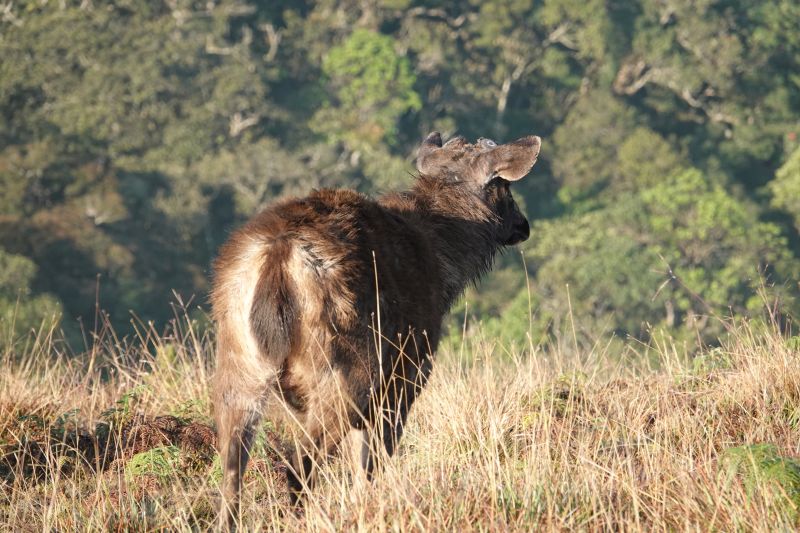 Viewing photos→2019→2019-02-09→01