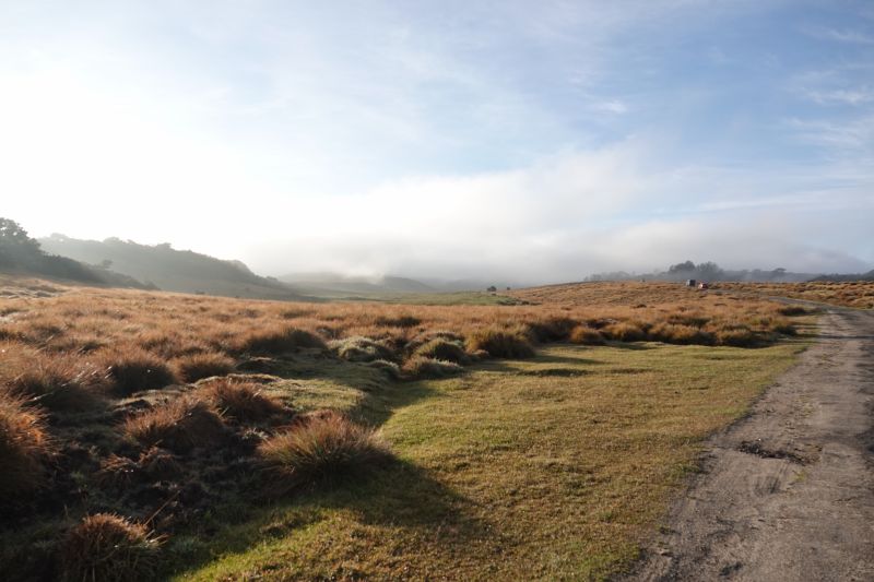 Viewing photos→2019→2019-02-09→04