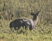 06.jpeg - 2019:02:09 01:37:00