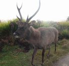 09.jpeg - 2019:02:09 01:39:26