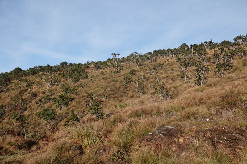 Viewing photos→2019→2019-02-09→13