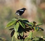 14.jpeg - 2019:02:09 01:52:02