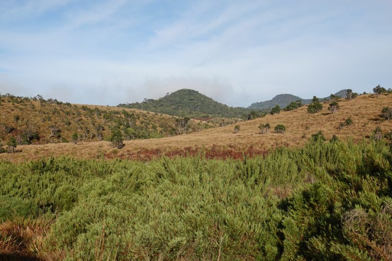 Viewing photos→2019→2019-02-09→16