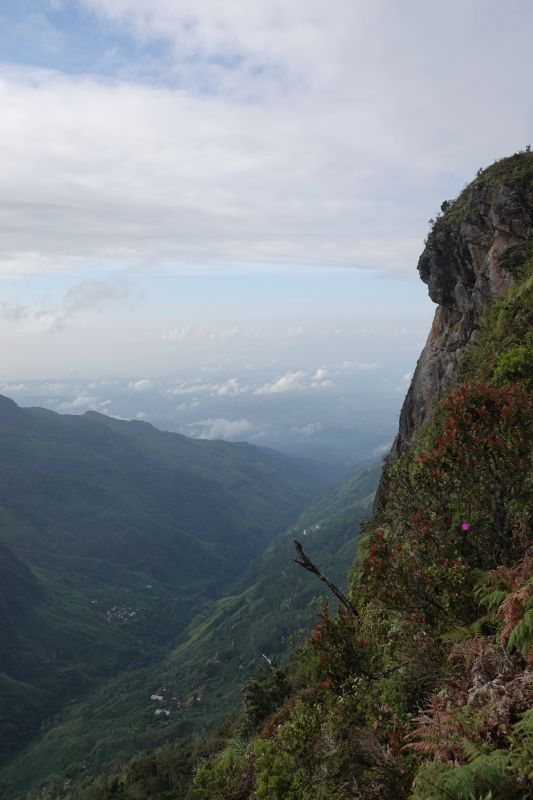 Viewing photos→2019→2019-02-09→22