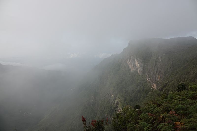 Viewing photos→2019→2019-02-09→23