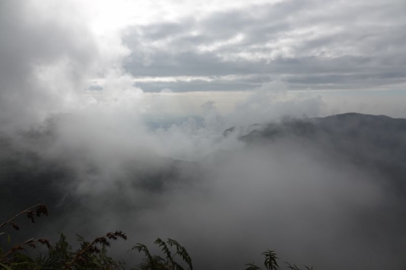 Viewing photos→2019→2019-02-09→24