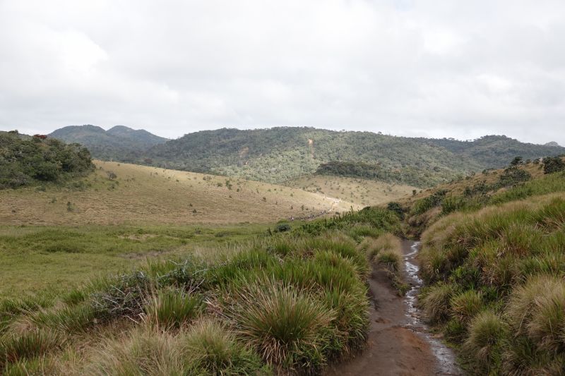 Viewing photos→2019→2019-02-09→38