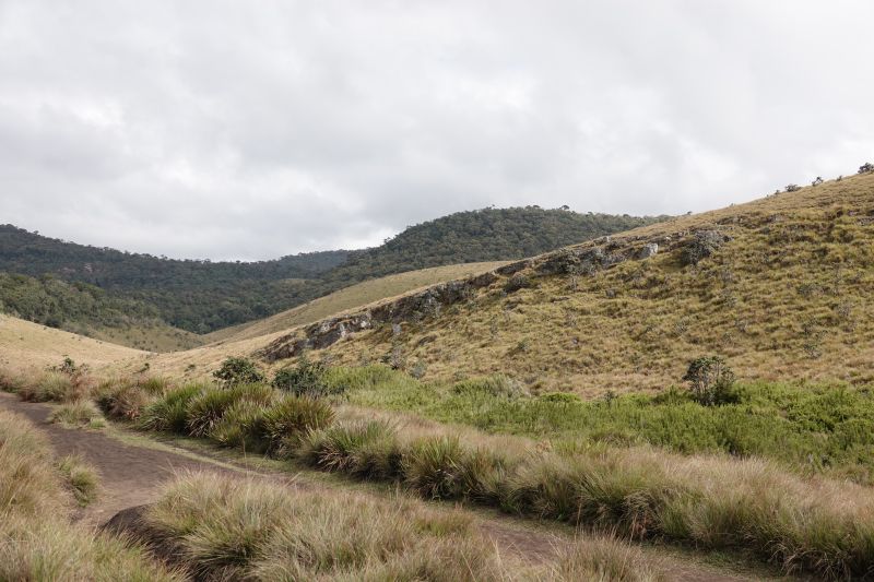 Viewing photos→2019→2019-02-09→46