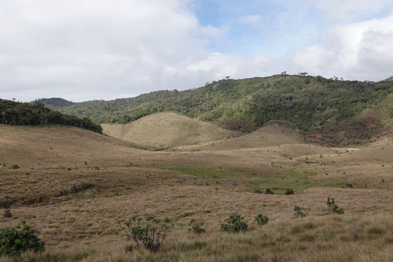 Viewing photos→2019→2019-02-09→48