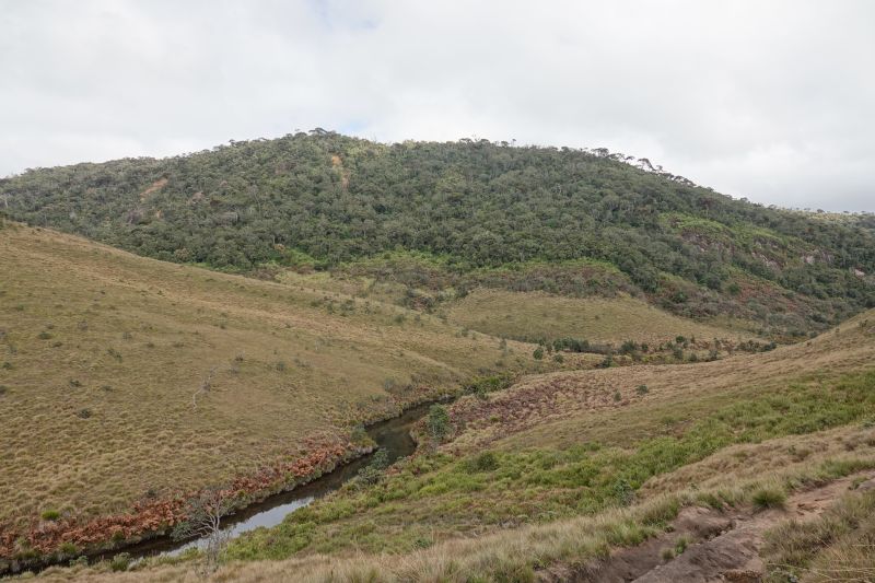 Viewing photos→2019→2019-02-09→50