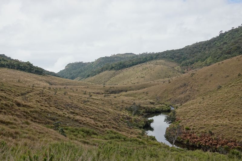 Viewing photos→2019→2019-02-09→51