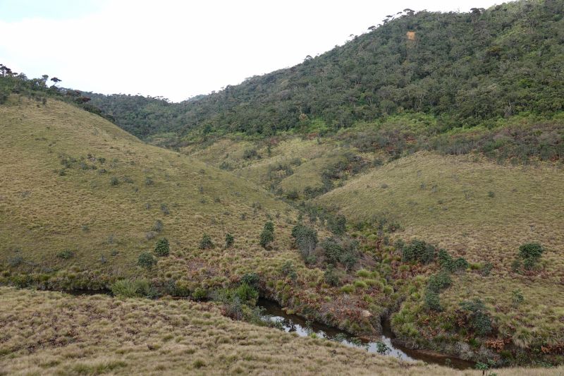 Viewing photos→2019→2019-02-09→52