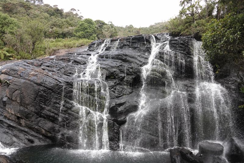 Viewing photos→2019→2019-02-09→57