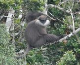 62.jpeg - 2019:02:09 04:16:04