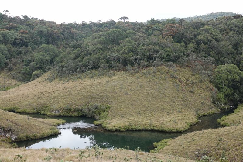 Viewing photos→2019→2019-02-09→63