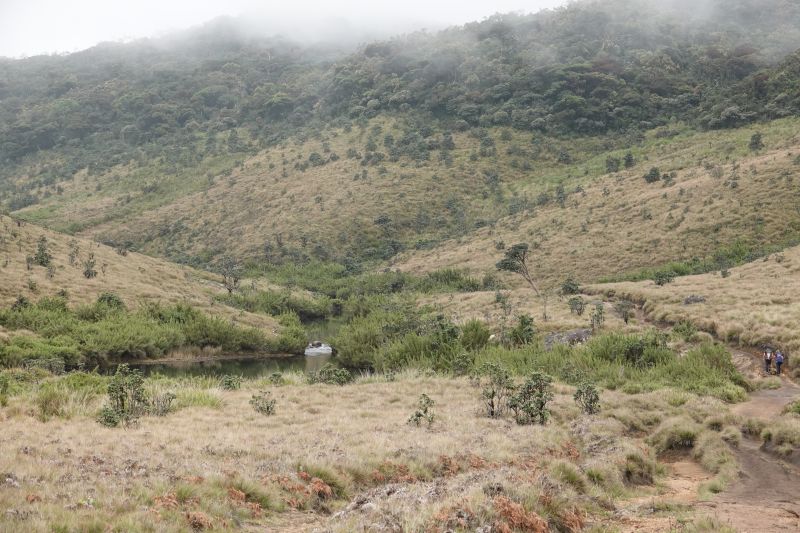 Viewing photos→2019→2019-02-09→65