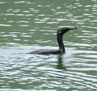 001.jpeg - 2019:02:10 10:25:17