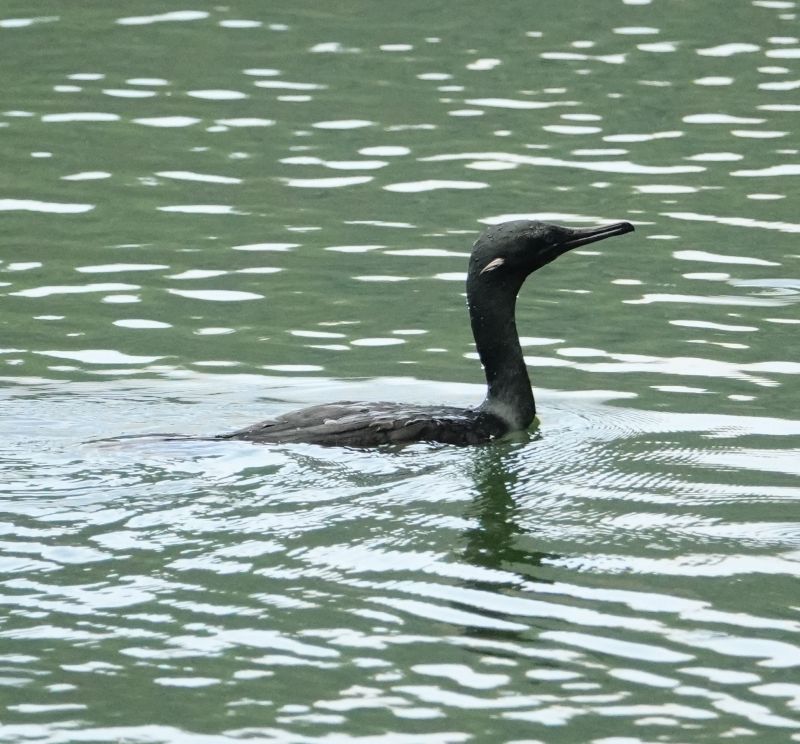 Viewing photos→2019→2019-02-10→001