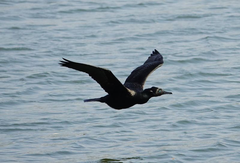 Viewing photos→2019→2019-02-10→008