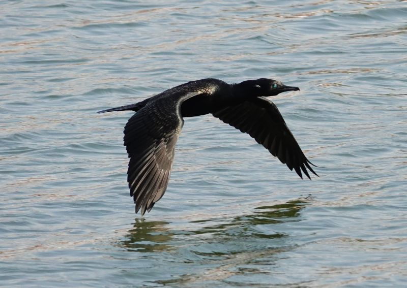 Viewing photos→2019→2019-02-10→009