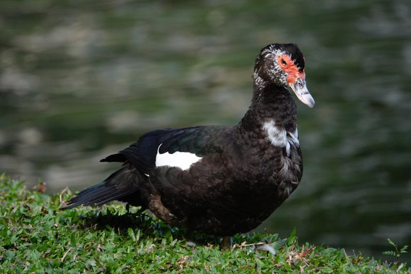 Viewing photos→2019→2019-02-10→013