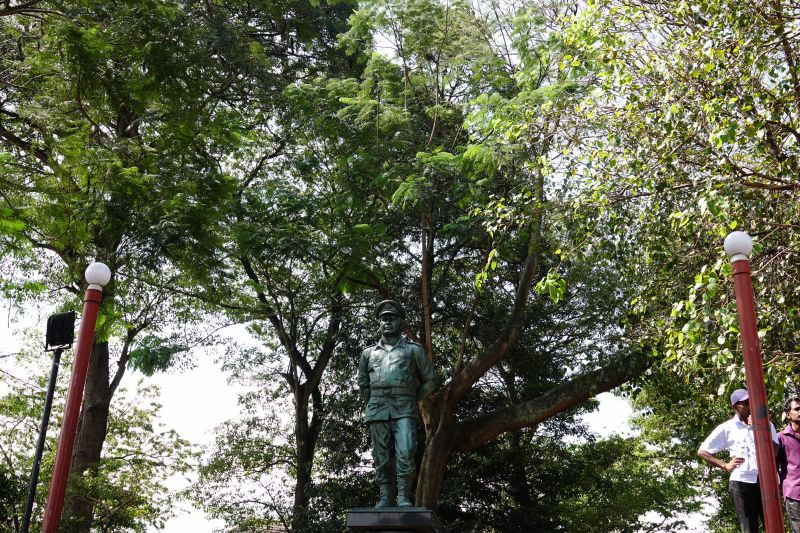 Viewing photos→2019→2019-02-10→025