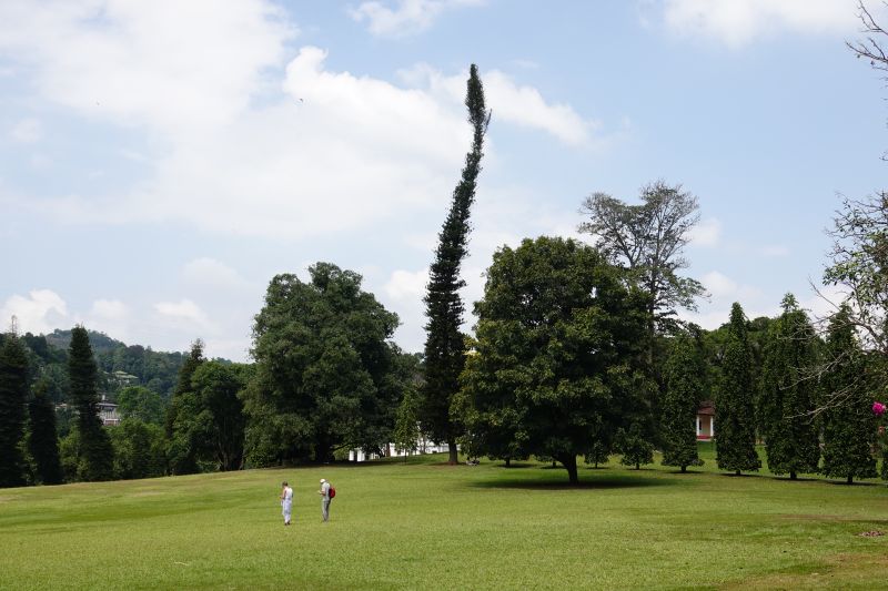 Viewing photos→2019→2019-02-10→030