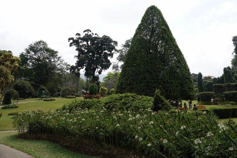 Viewing photos→2019→2019-02-10→031