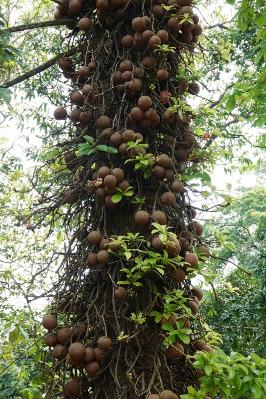 Viewing photos→2019→2019-02-10→032